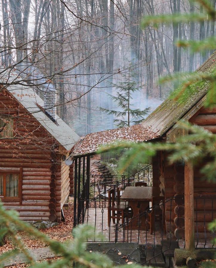 База Відпочинку Шиповець Poroshkovo Luaran gambar